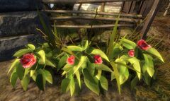 Insecticide.jpg