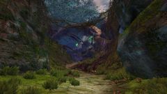 Orbweaver Gallery.jpg