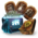 Sensational Storage Package.png