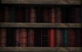 Shelved Book 3.jpg