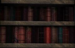 Shelved Book 3.jpg