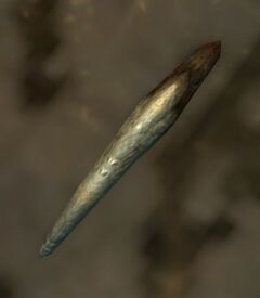 Tooth.jpg