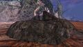 Thumbnail for version as of 10:30, 17 April 2021