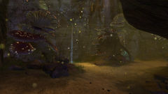 Tunnel of Respite.jpg