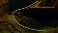 Drydock Scratch solution step 5a.jpg