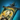 Ellen Kiel Support Bundle