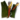 Forest Archer Pack.png
