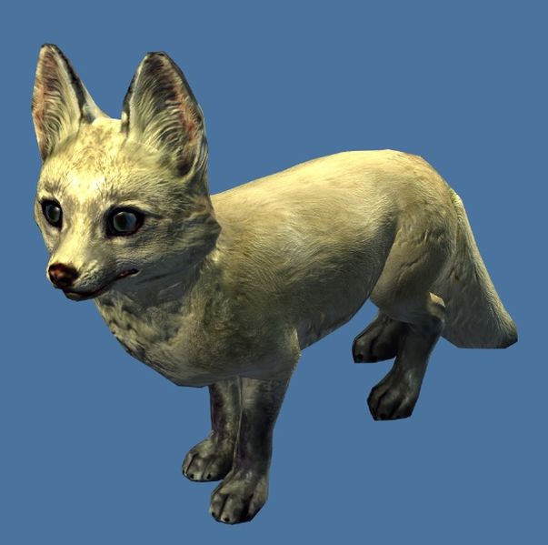 File:Mini Arctic Fox Kit.jpg
