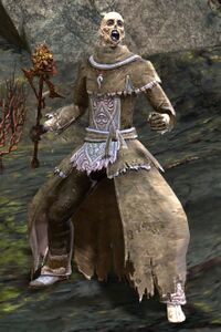 Orrian Wizard.jpg