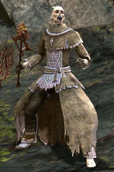 File:Orrian Wizard.jpg