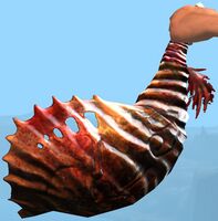 Pirate Bugle.jpg