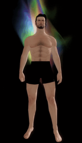 File:Prismatic Champion's Regalia.gif