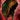 Reaper's Hood.png