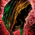 Reaper's Hood.png