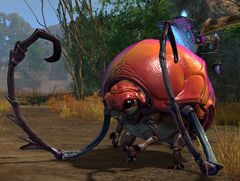 Roller Beetle (NPC).jpg