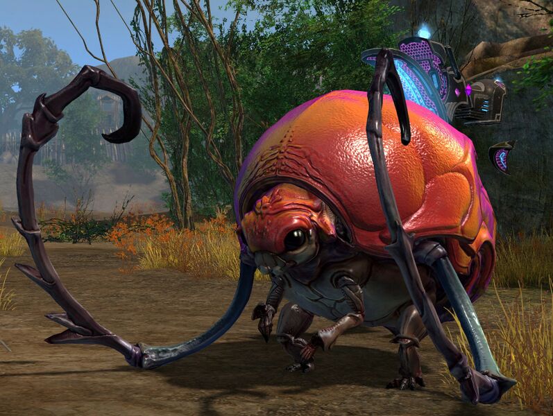 File:Roller Beetle (NPC).jpg