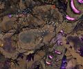 Thumbnail for version as of 03:14, 24 February 2022