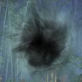 A portal.