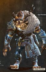 Wandering Weapon Master Outfit
