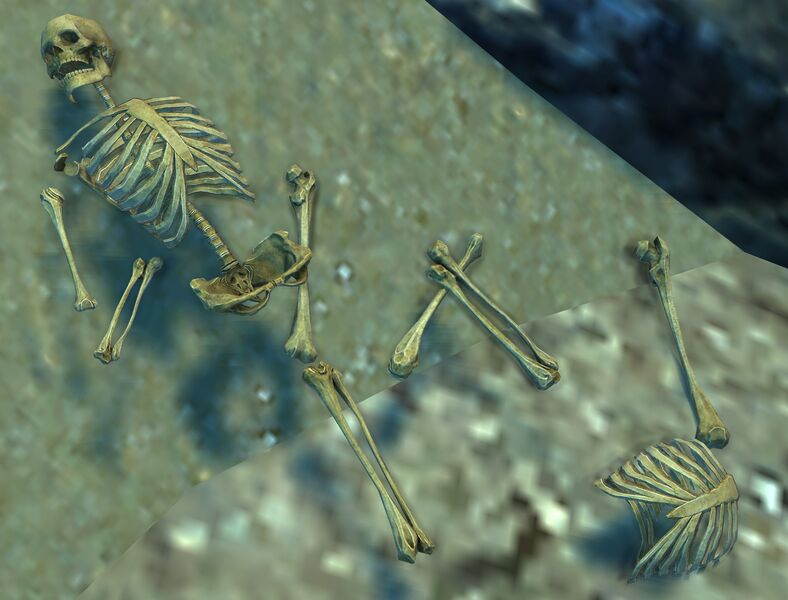 File:Bones (Shipwreck Strand).jpg