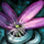 Brilliant Passion Flower.png