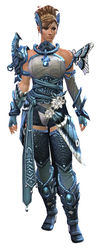 Carapace armor (medium) norn female front.jpg