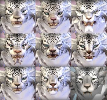 Charr female faces.jpg