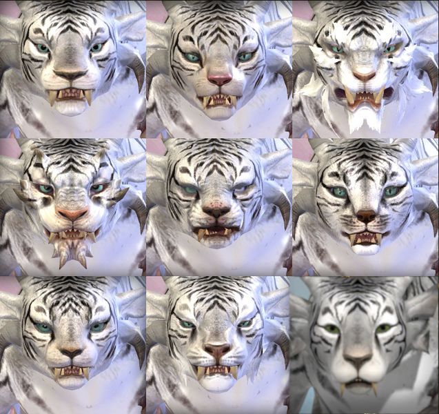 File:Charr female faces.jpg