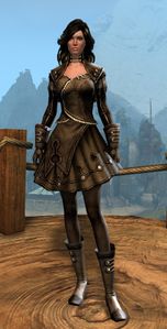 Appearance on light armor.