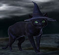Thumbnail for version as of 13:38, 31 October 2012