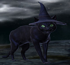Feline Familiar.jpg