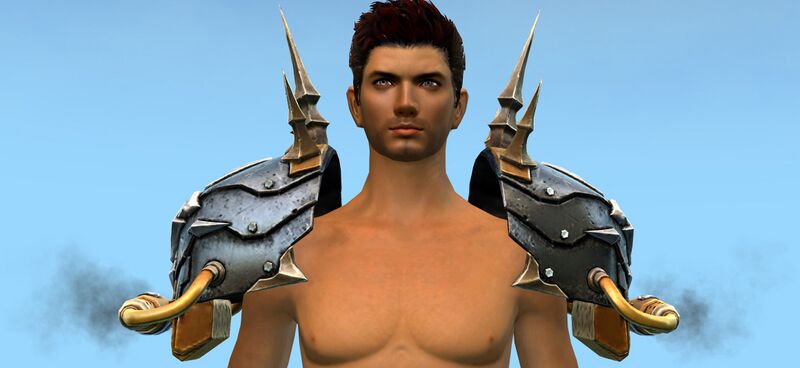 File:Heretical Scholar's Pauldrons.jpg