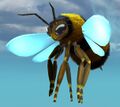 Janthiri Bee.jpg
