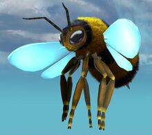 Janthiri Bee.jpg