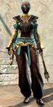 Lionguard norn light 2.jpg