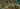 Merciless Shore map.jpg