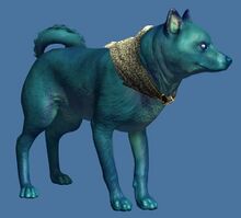 Mini Blue Shiba Inu.jpg