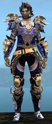 Mistforged Triumphant Hero's armor (medium) sylvari male front.jpg