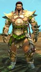 Norn male