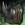 Primeval Pauldrons.png