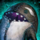 Quaggan Killer Whale Backpack Set.png