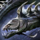 Shipwreck Moray.png