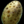 Skale Egg.png