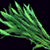 Tarragon Leaves.png