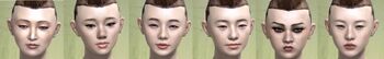 Human female faces 3.jpg