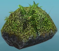 Meditative Favored Rock.jpg