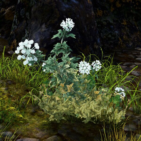 File:Mistburned Flora.jpg