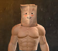 Paper-Bag Helm Skin (Blush)