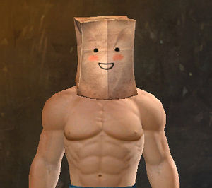 Paper-Bag Helm Skin (Blush).jpg