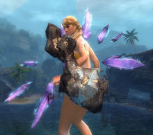 Pinnacle Ward Skin wielded.jpg